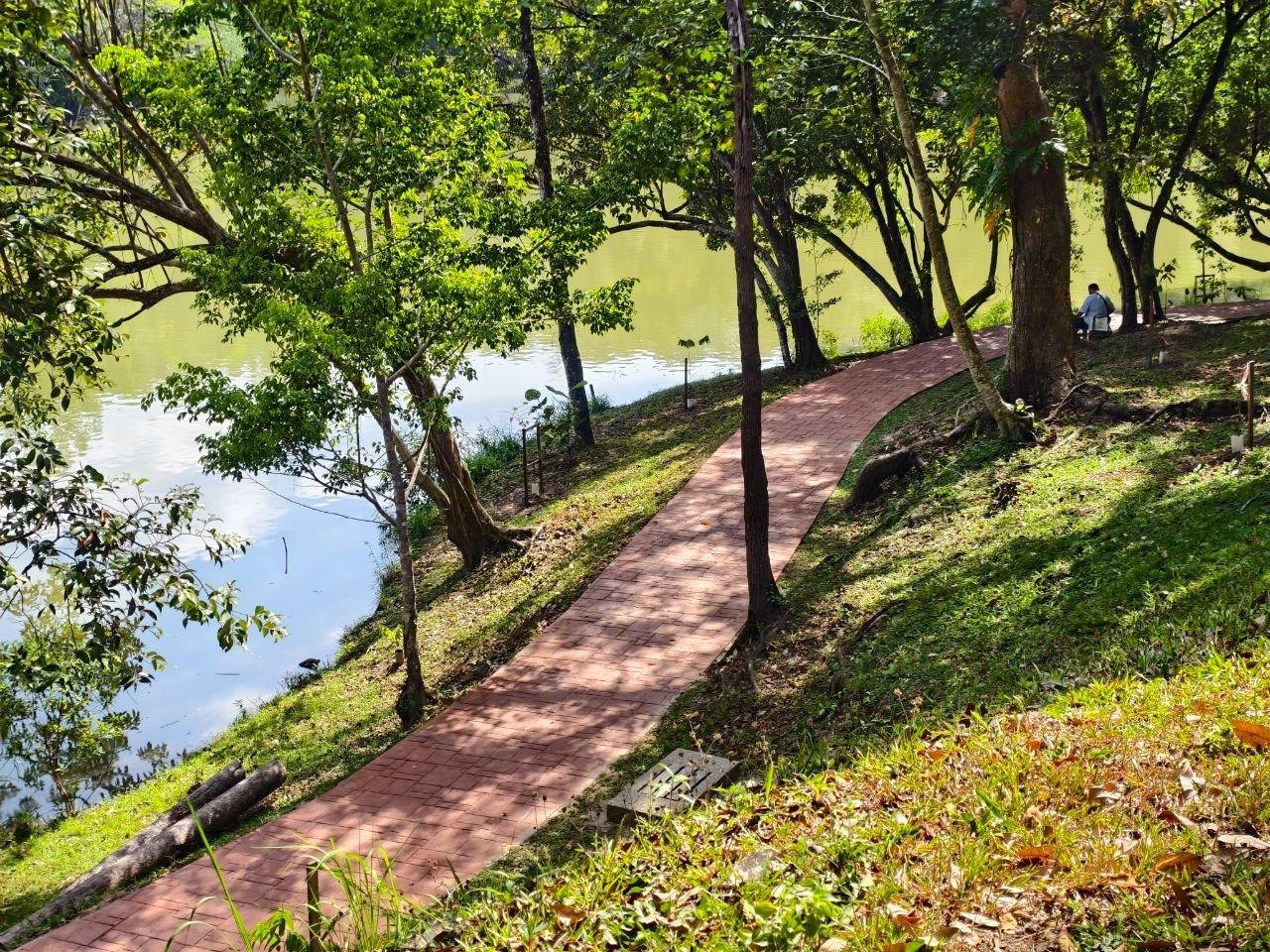 A lakeside walking path under the park's trees